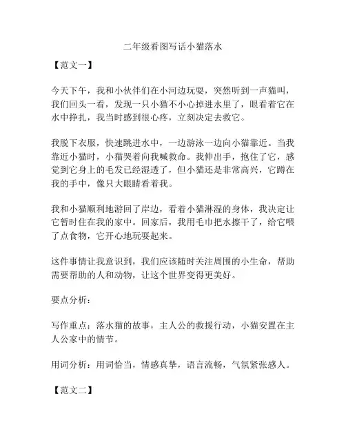二年级看图写话小猫落水
