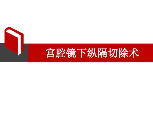 宫腔镜下纵隔切除术