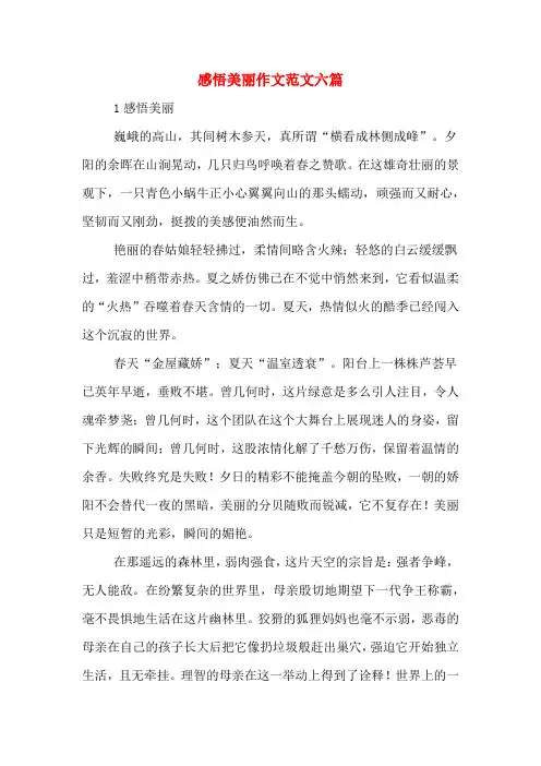 感悟美丽作文范文六篇