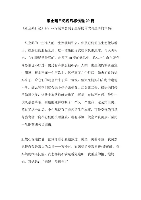 帝企鹅日记观后感优选20篇