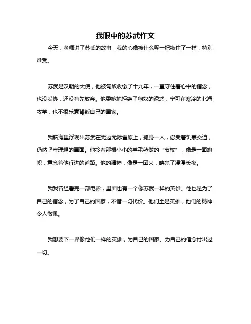 我眼中的苏武作文