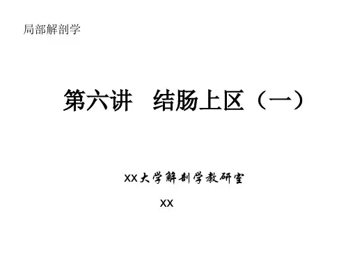 结肠上区一局解
