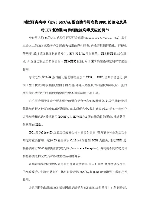 丙型肝炎病毒(HCV)NS34A蛋白酶作用底物DDB1的鉴定及其对HCV复制影响和细胞抗病毒反应的调节