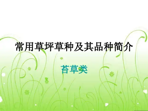 常见草坪草种简介(3其他科属) 共29页