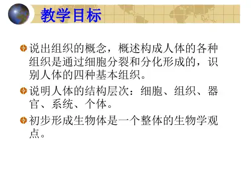 第二单元第三章第一节动物体的结构层次2精品教育