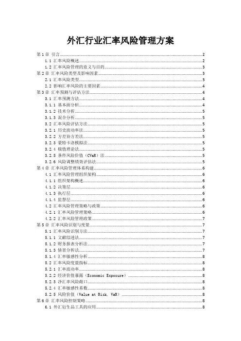 外汇行业汇率风险管理方案