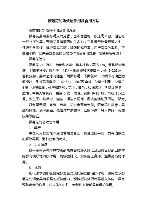 野菊花的功效与作用及食用方法