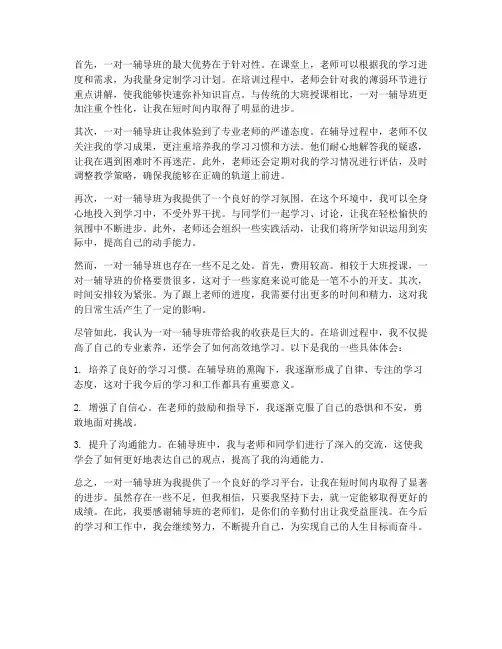 一对一辅导班培训_感想