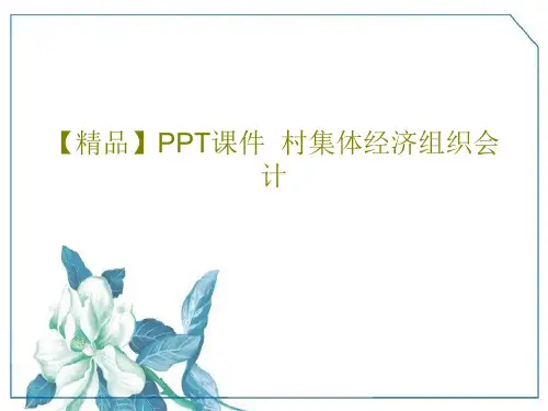 【精品】PPT课件  村集体经济组织会计PPT共23页