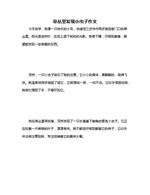 草丛里发现小虫子作文