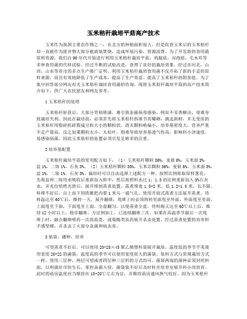 玉米秸秆栽培平菇高产技术
