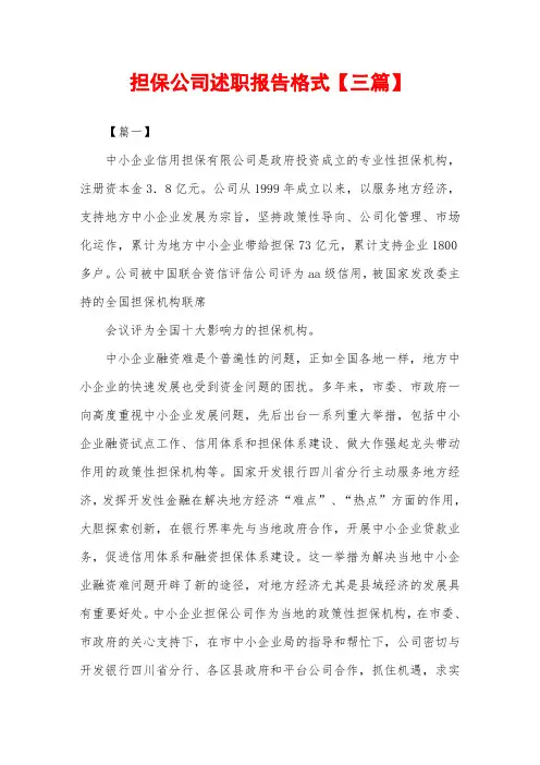 2019年担保公司述职报告格式【三篇】