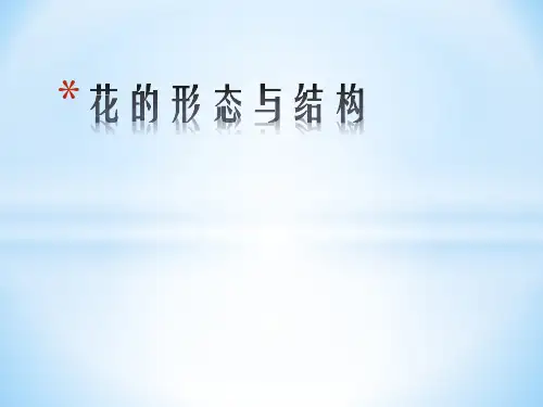 花的形态与结构