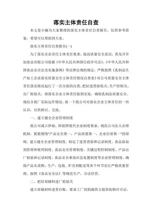 自查报告 落实主体责任自查