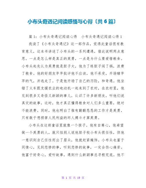小布头奇遇记阅读感悟与心得(共6篇)