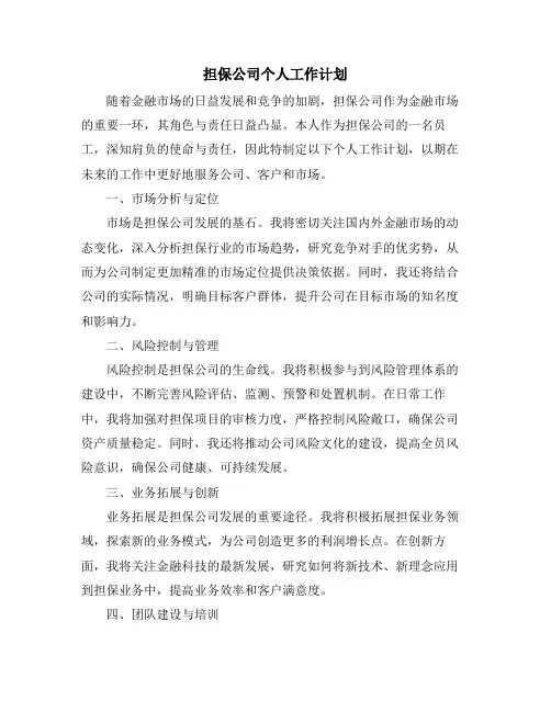 担保公司个人工作计划