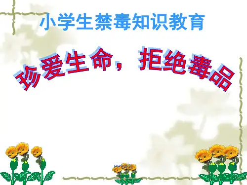 小学生禁毒知识教育  ppt课件