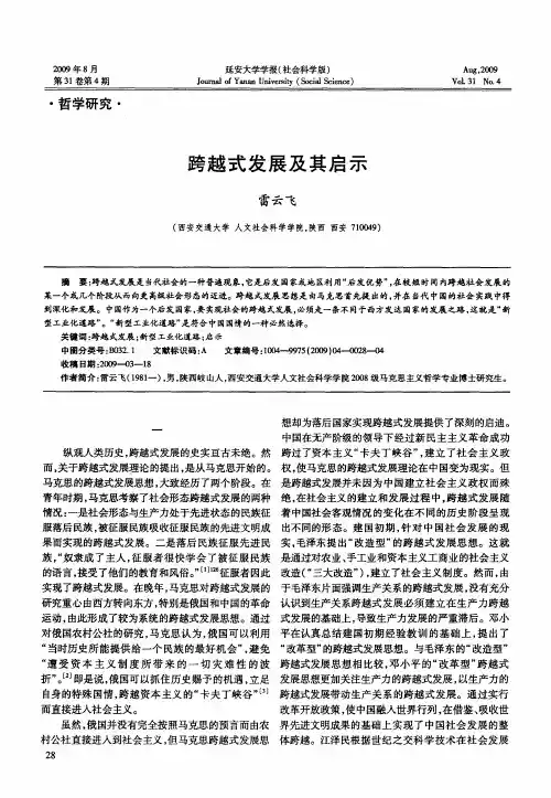 跨越式发展及其启示