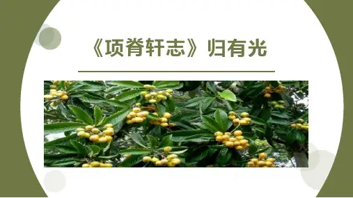 《项脊轩志》公开课
