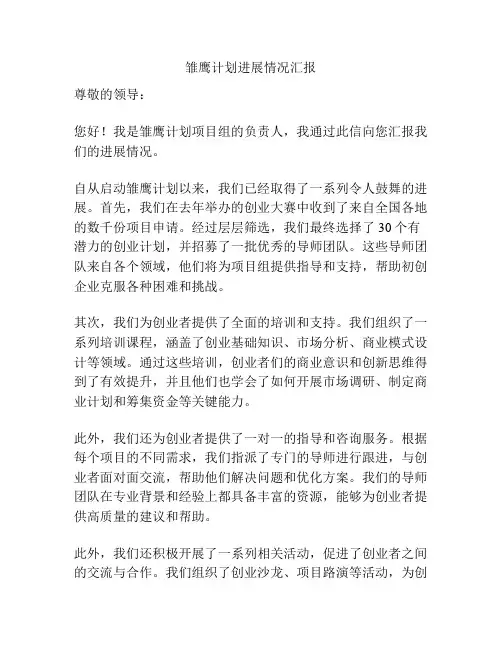 雏鹰计划进展情况汇报