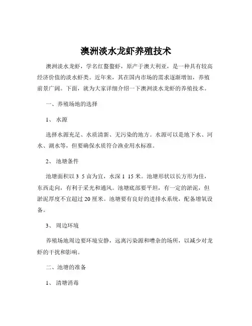 澳洲淡水龙虾养殖技术