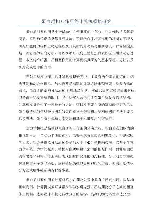 蛋白质相互作用的计算机模拟研究