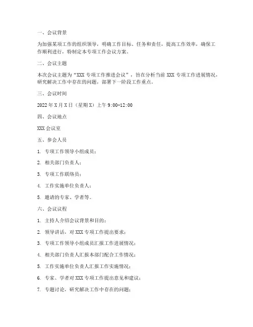 专项工作会议方案