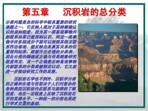 沉积岩第5章