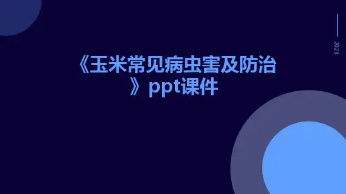 玉米常见病虫害及防治ppt课件