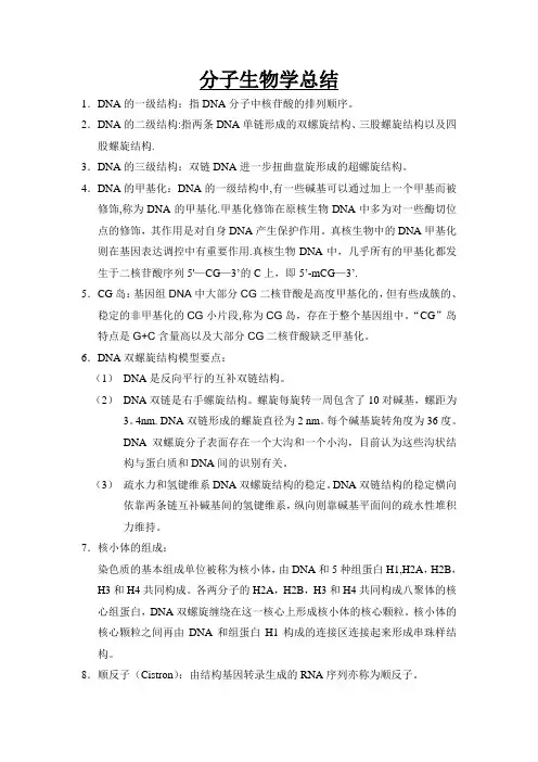 分子生物学名词解释及大题总结