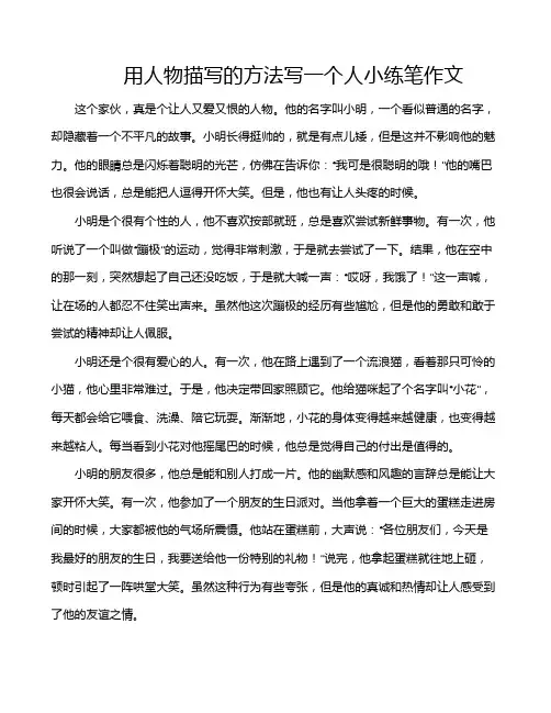 用人物描写的方法写一个人小练笔作文