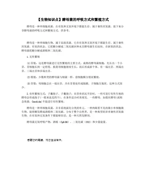 【生物知识点】酵母菌的呼吸方式和繁殖方式