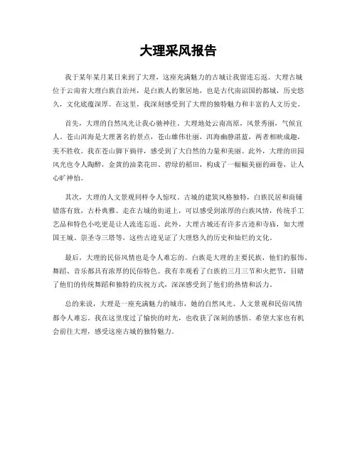大理采风报告