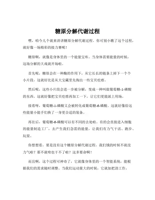 糖原分解代谢过程