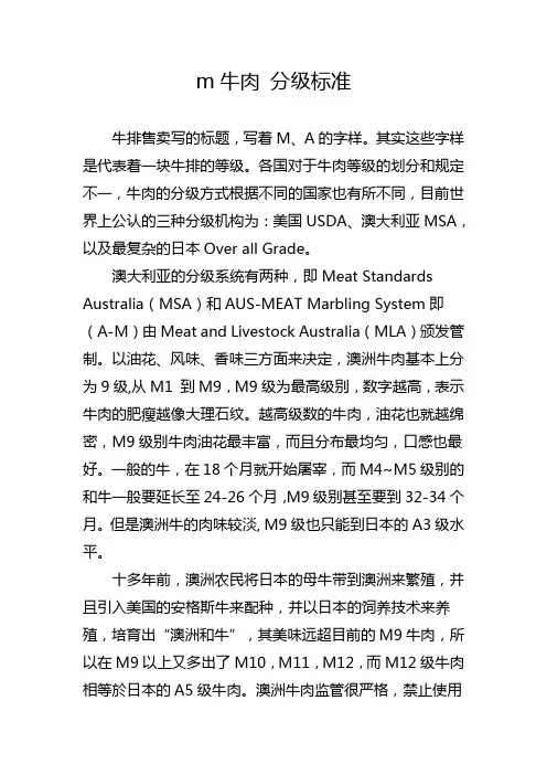 m牛肉 分级标准