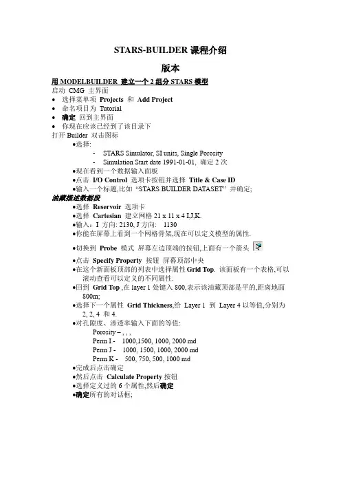 CMG软件培训讲义中文