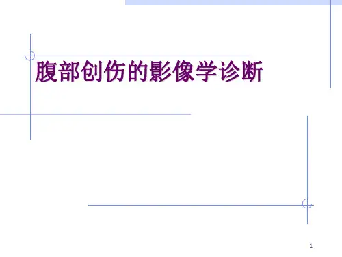 腹部创伤的影像学诊断ppt课件