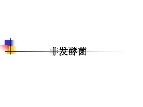 非发酵菌ppt课件