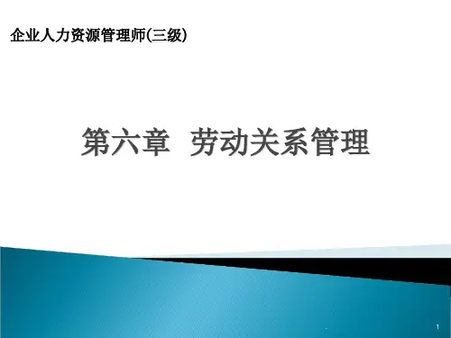 劳动关系管理ppt课件