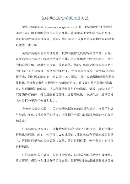 免疫共沉淀实验原理及方法