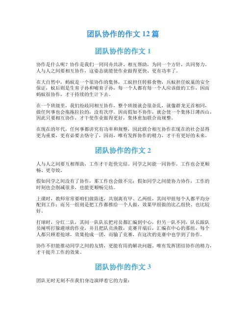团队协作的作文12篇