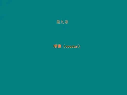 第9章-球菌ppt课件