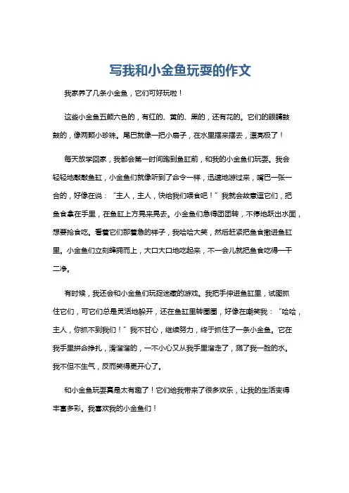 写我和小金鱼玩耍的作文