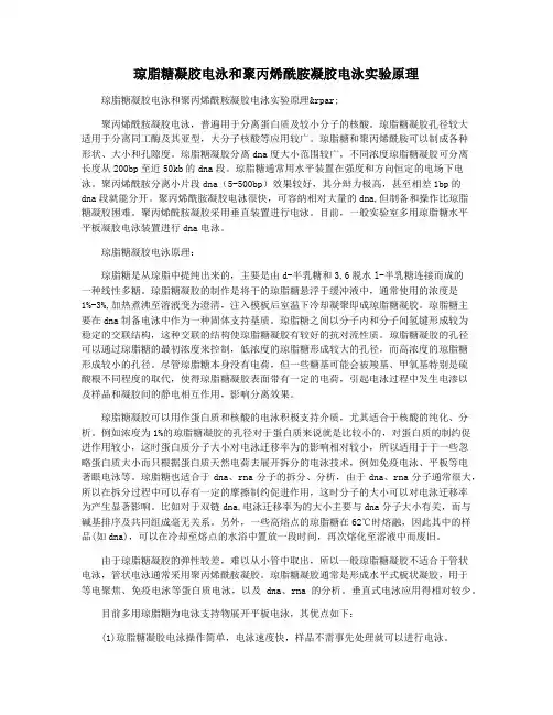 琼脂糖凝胶电泳和聚丙烯酰胺凝胶电泳实验原理