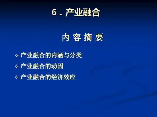 产业结构与政策分析产业融合PPT课件