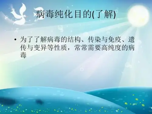病毒的纯化与保存课件