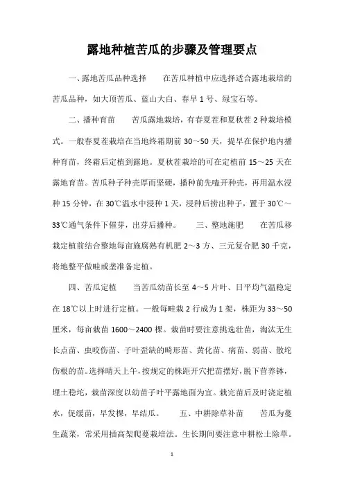 露地种植苦瓜的步骤及管理要点