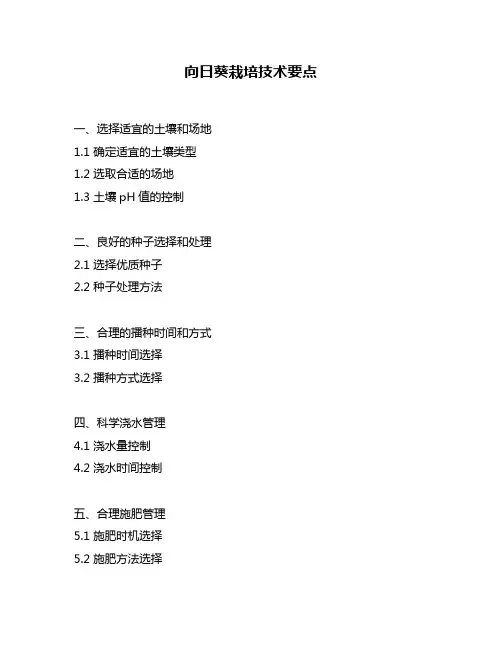 向日葵栽培技术要点