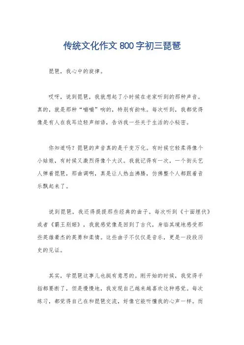 传统文化作文800字初三琵琶