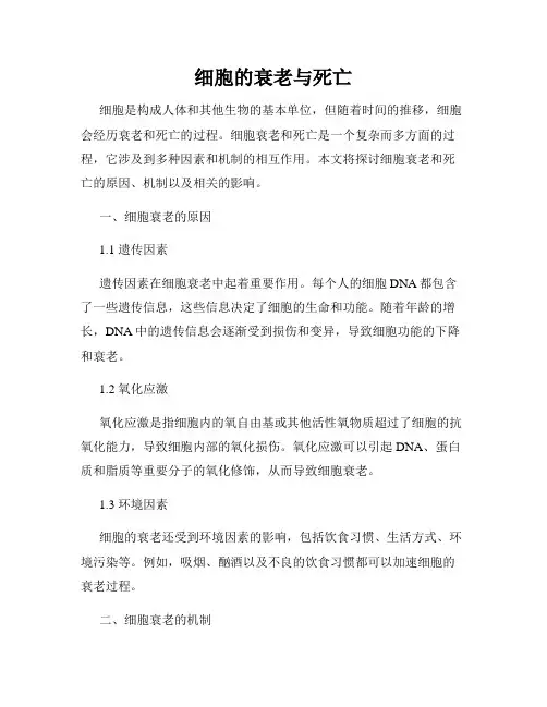 细胞的衰老与死亡